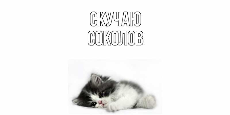 Картинка Скучаю, Соколов
