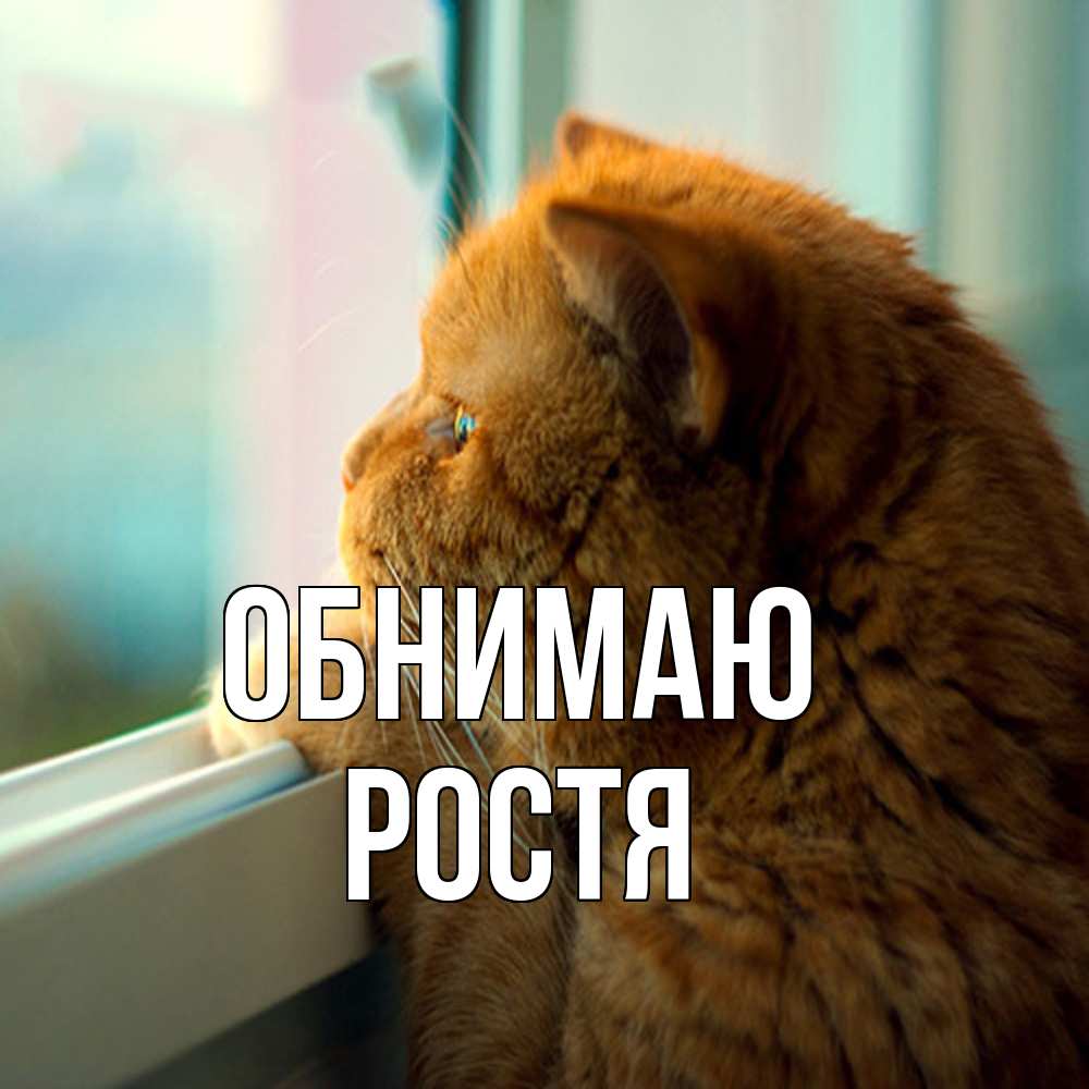 Открытка  с именем. Ростя, Обнимаю  