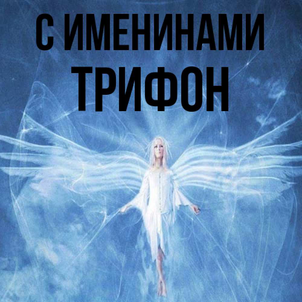 Открытка  с именем. Трифон, С именинами  