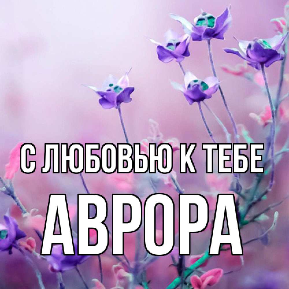 Открытка  с именем. Аврора, С любовью к тебе  