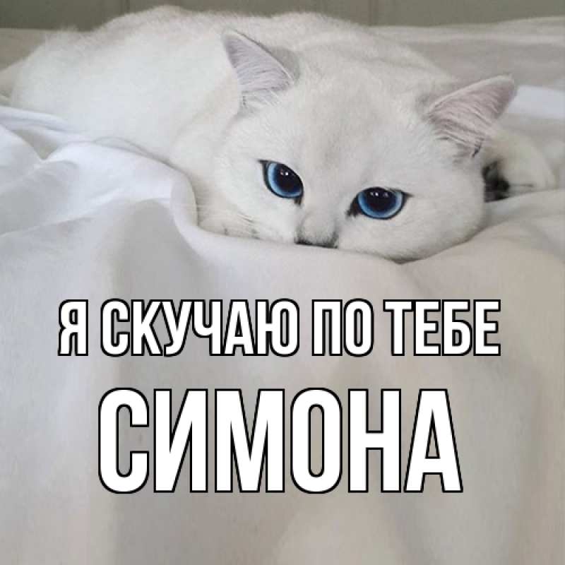 Картинка Я скучаю по тебе, Симона