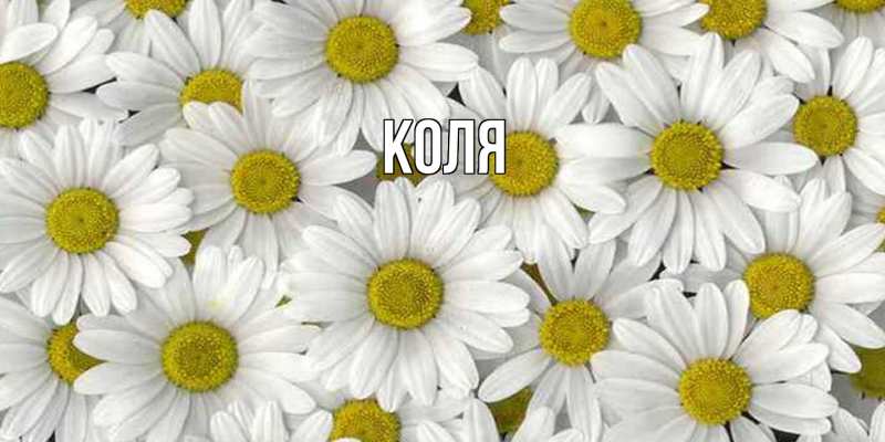 Картинка  с именем , коля