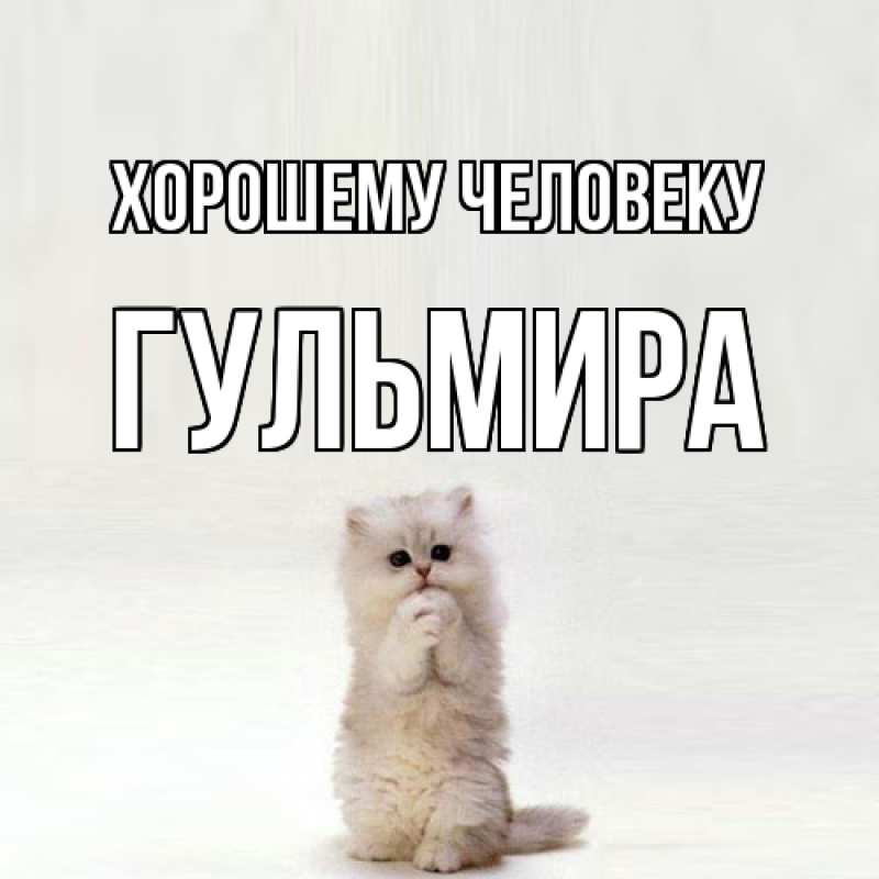 Картинка Хорошему человеку, Гульмира
