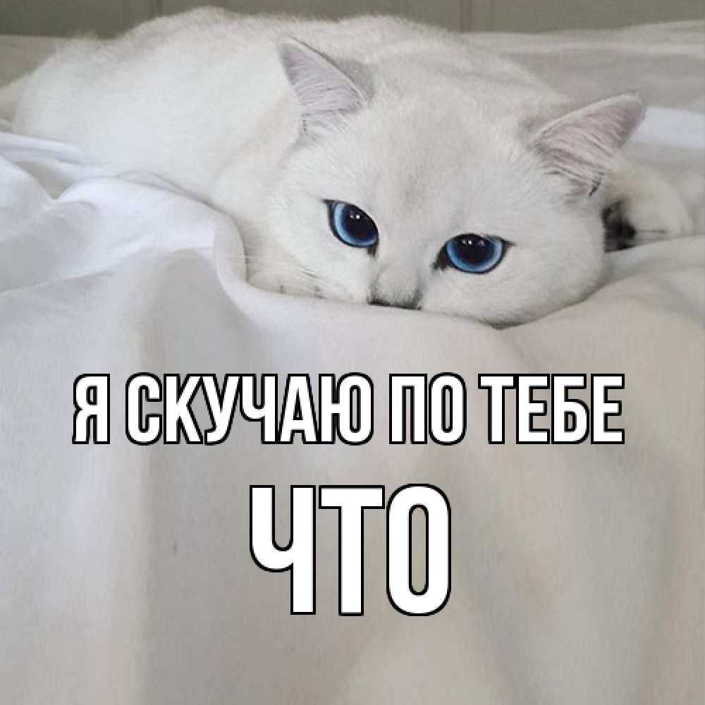 Открытка  с именем. Что, Я скучаю по тебе  