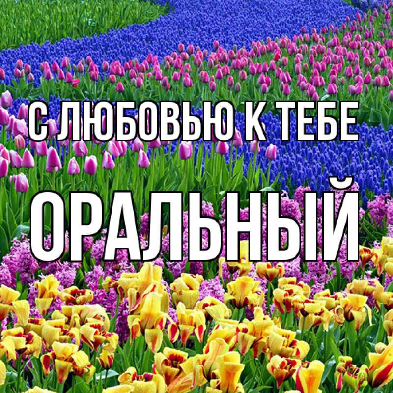 Картинка С любовью к тебе, ОРАЛЬНЫЙ