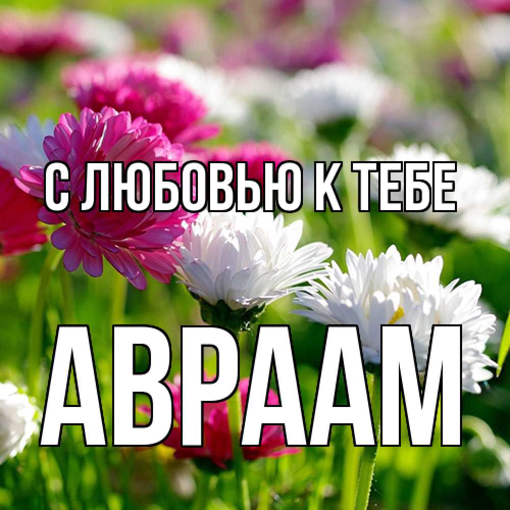 Открытка  с именем. Авраам, С любовью к тебе  