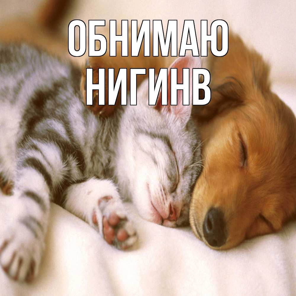 Открытка  с именем. Нигинв, Обнимаю  