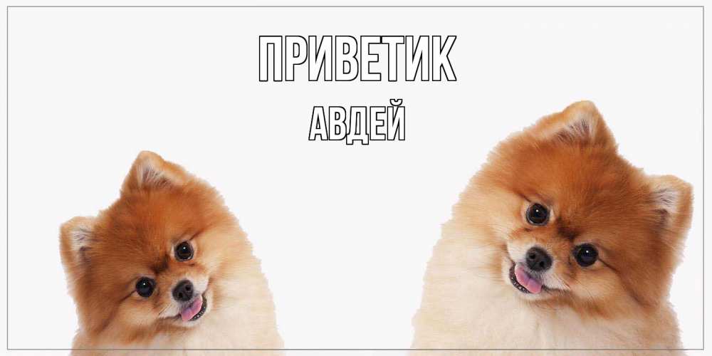 Открытка  с именем. Авдей, приветик  