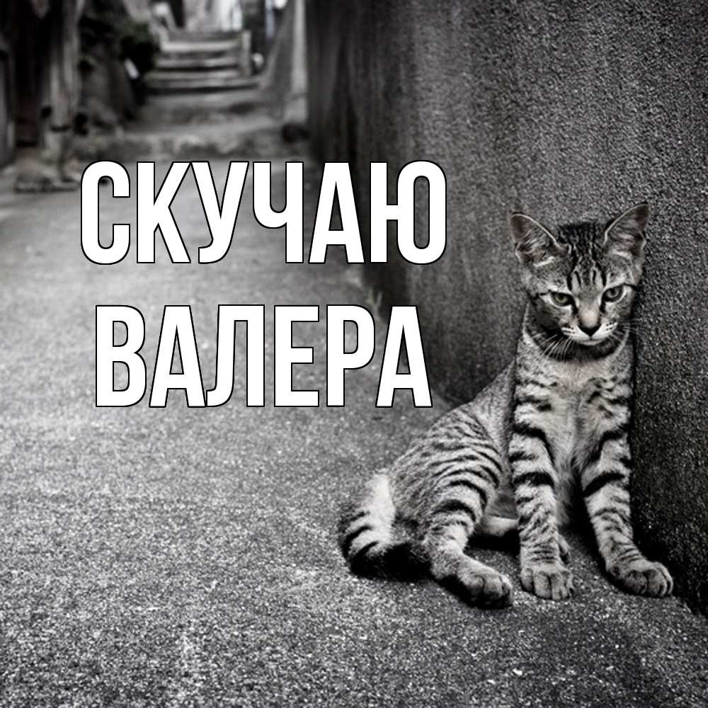 Открытка  с именем. Валера, Скучаю  