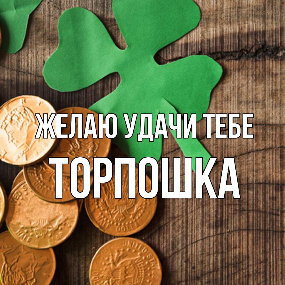 Открытка  с именем. торпошка, Желаю удачи тебе  