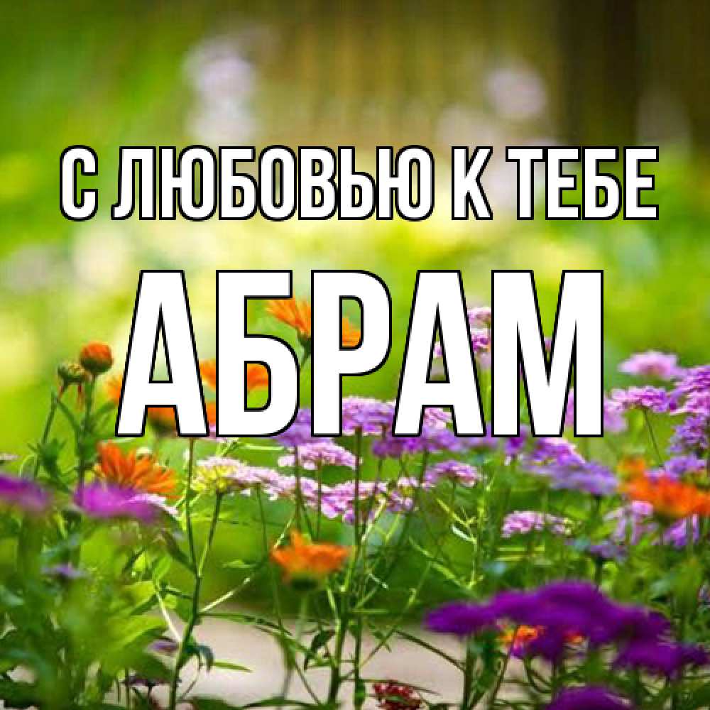 Открытка  с именем. Абрам, С любовью к тебе  