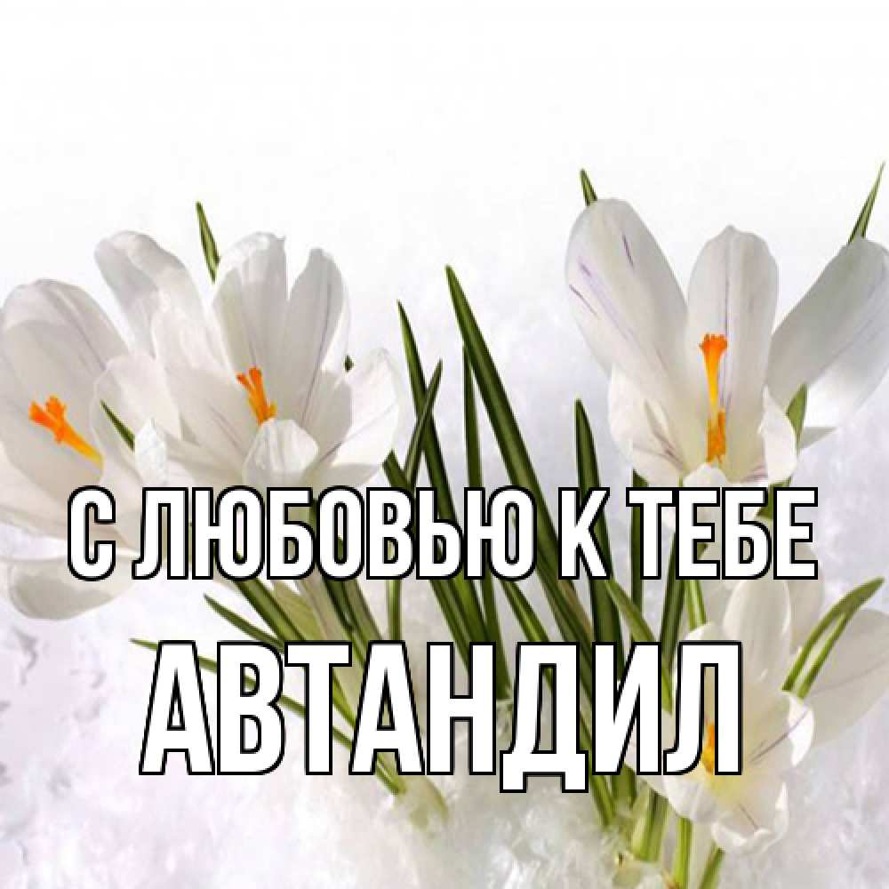Открытка  с именем. Автандил, С любовью к тебе  