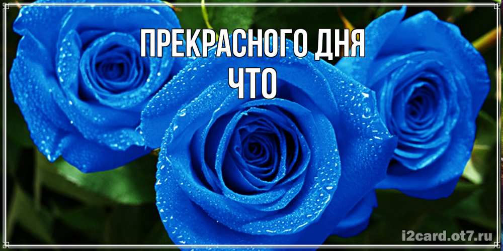 Открытка  с именем. Что, Прекрасного дня  