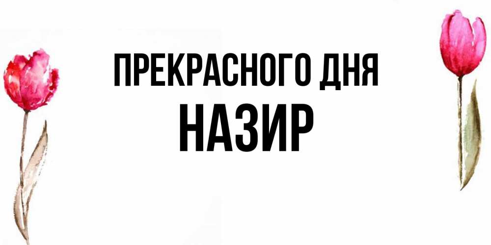 Открытка  с именем. Назир, Прекрасного дня  