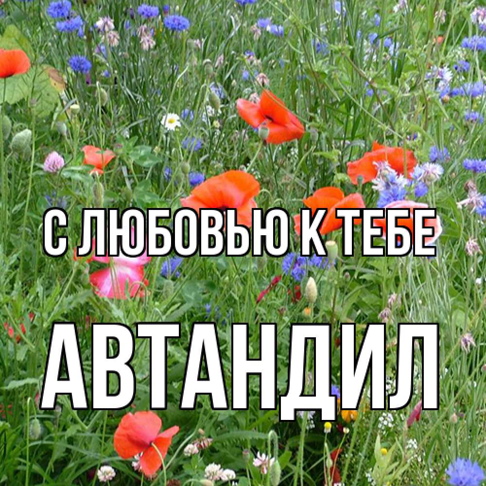 Открытка  с именем. Автандил, С любовью к тебе  