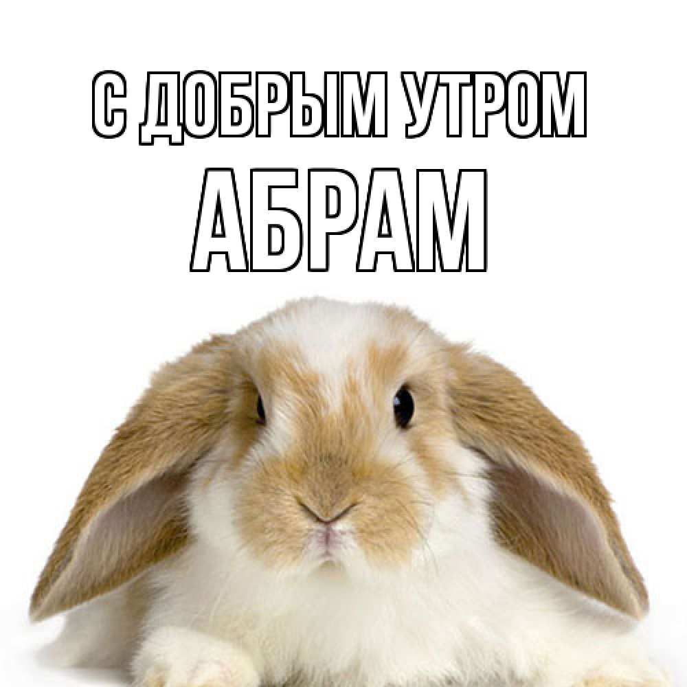 Открытка  с именем. Абрам, С добрым утром  