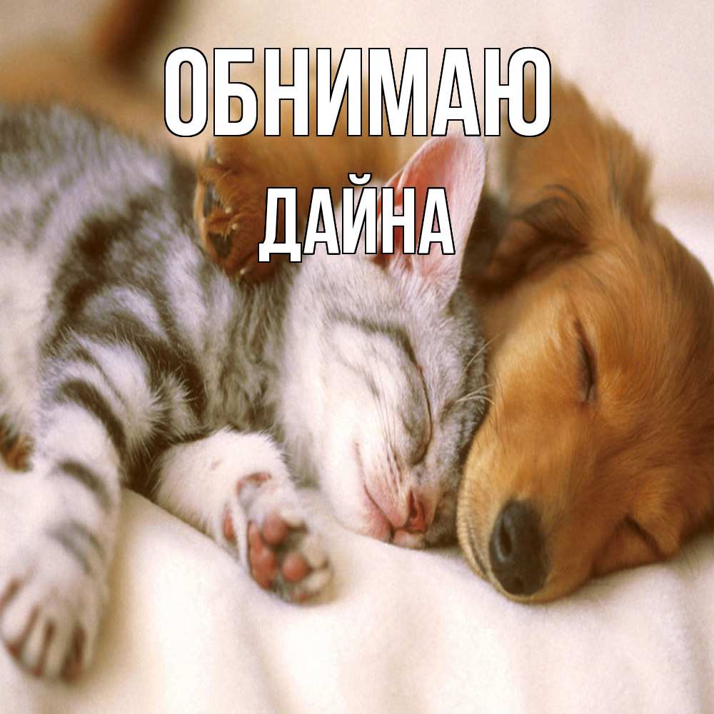 Открытка  с именем. Дайна, Обнимаю  
