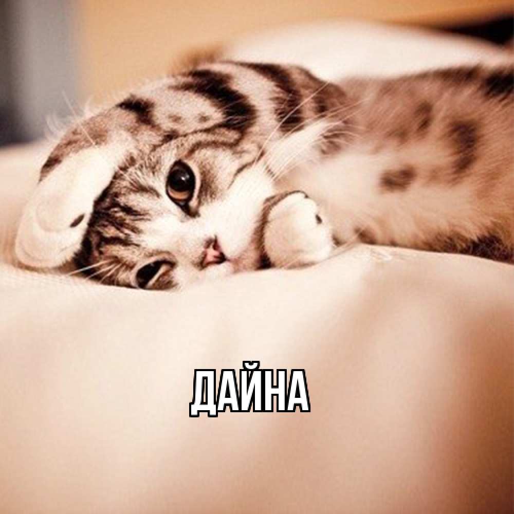 Открытка  с именем. Дайна, Главная  