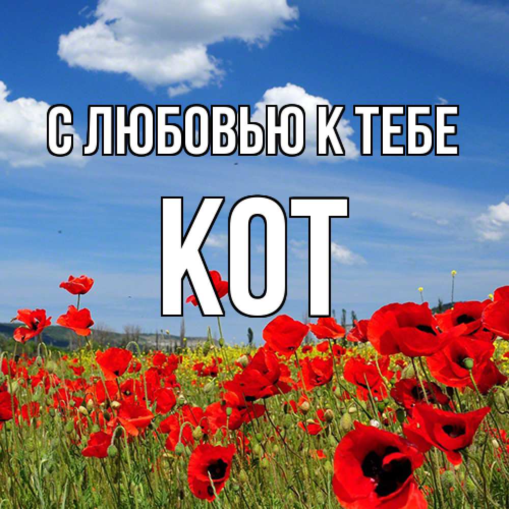 Открытка  с именем. КОТ, С любовью к тебе  