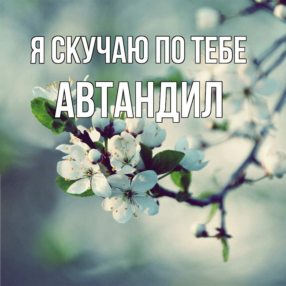 Открытка  с именем. Автандил, Я скучаю по тебе  