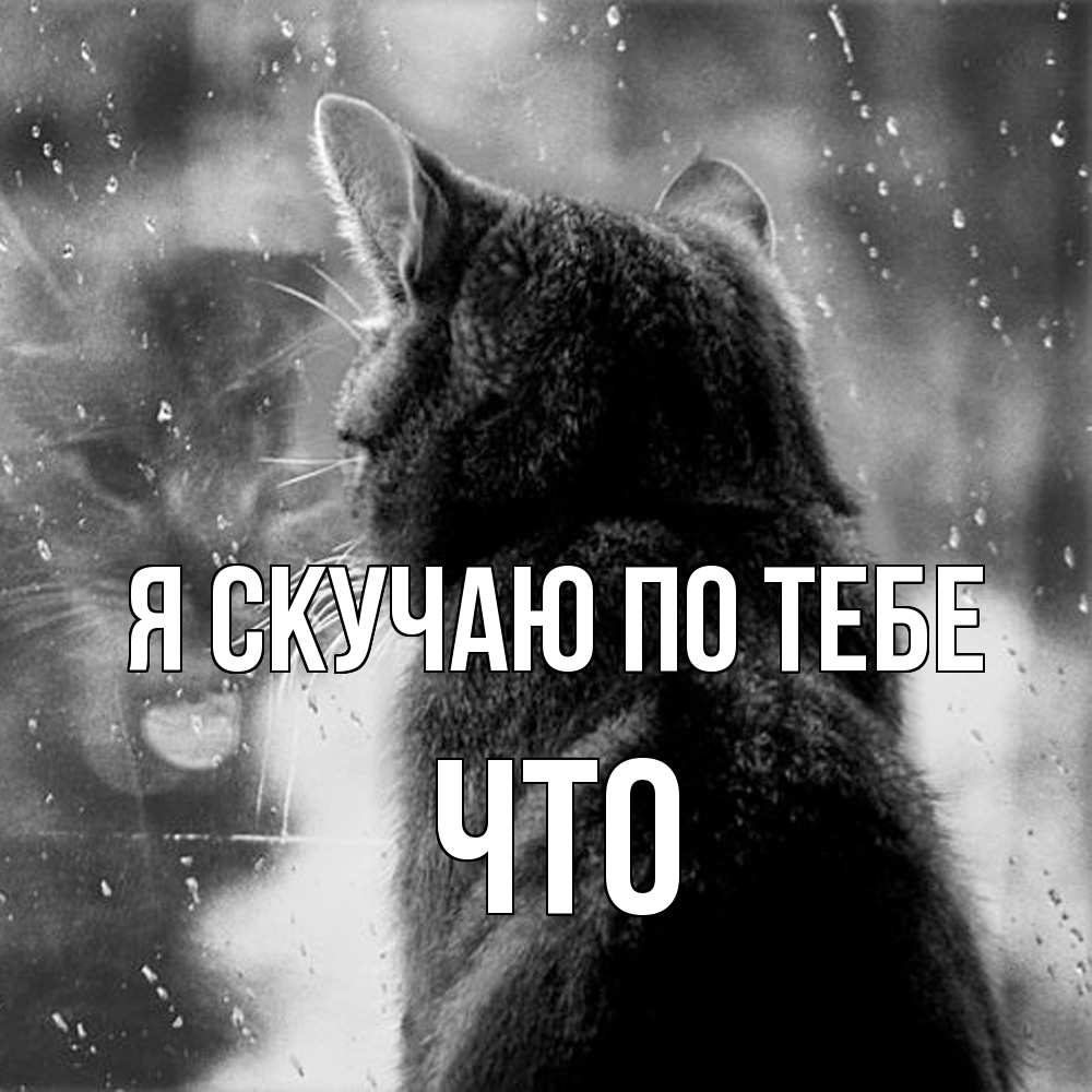 Открытка  с именем. Что, Я скучаю по тебе  