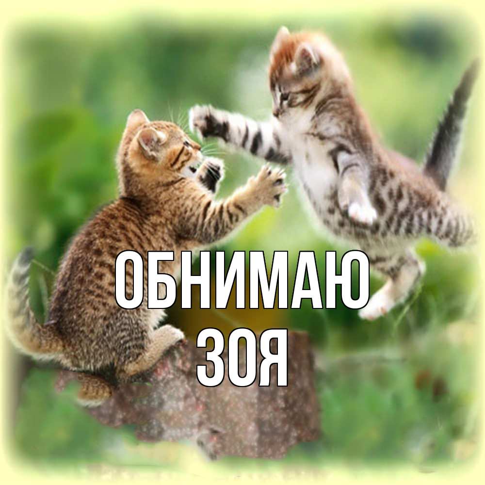 Открытка  с именем. Зоя, Обнимаю  