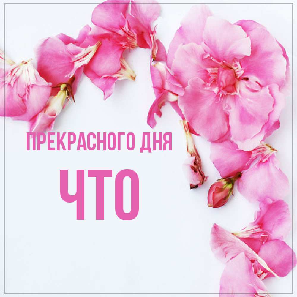 Открытка  с именем. Что, Прекрасного дня  