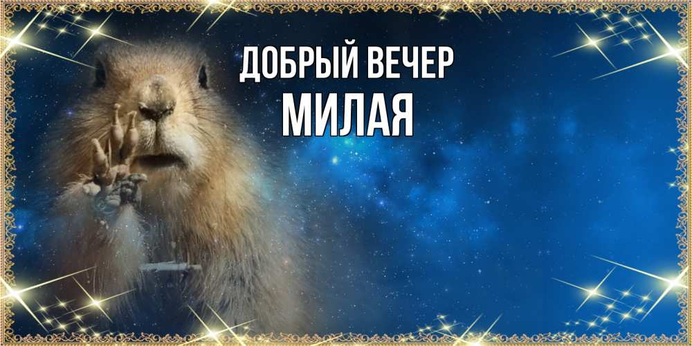 Открытка  с именем. Милая, Добрый вечер  