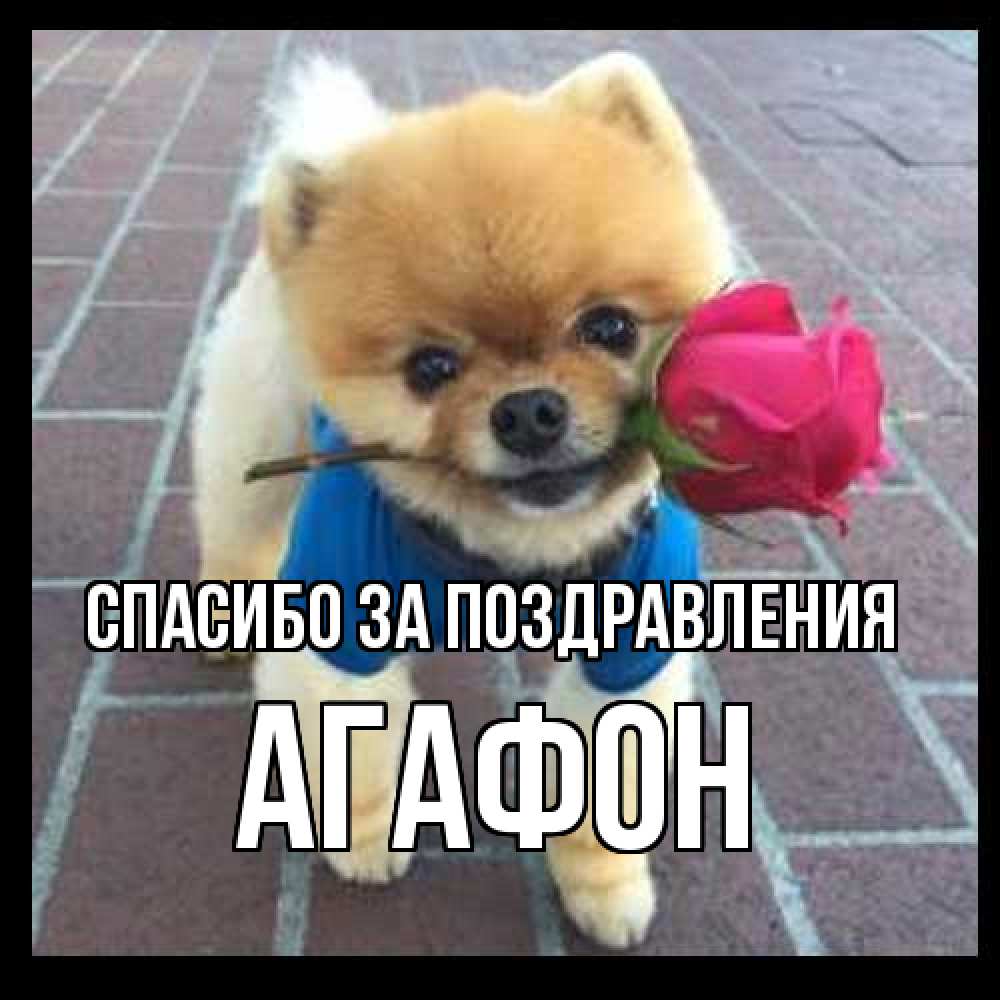 Открытка  с именем. Агафон, Спасибо за поздравления  
