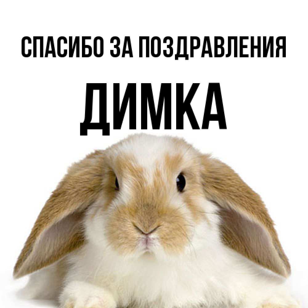 Открытка  с именем. ДИМКА, Спасибо за поздравления  
