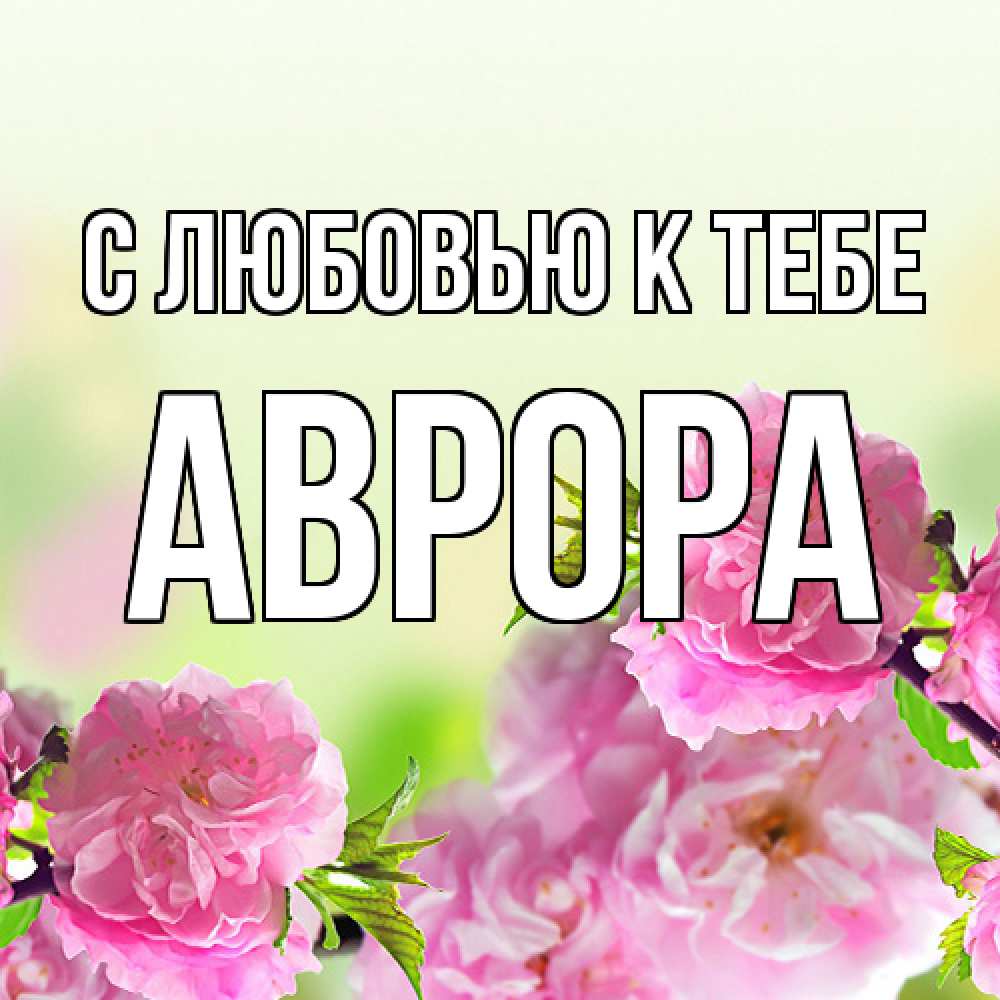 Открытка  с именем. Аврора, С любовью к тебе  