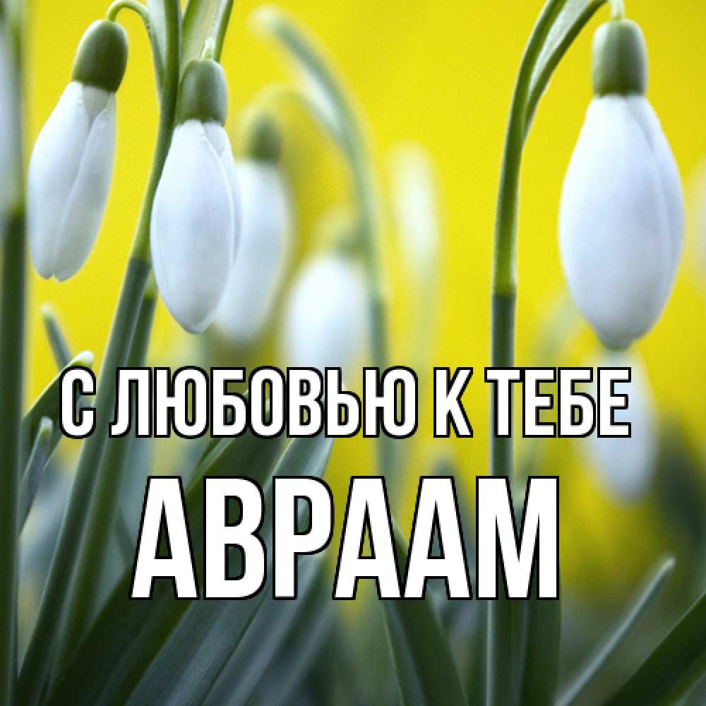 Открытка  с именем. Авраам, С любовью к тебе  
