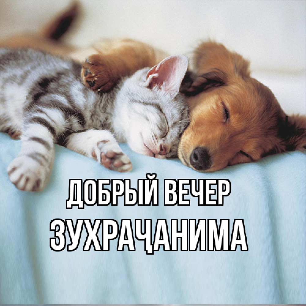 Открытка  с именем. Зухраҷанима, Добрый вечер  