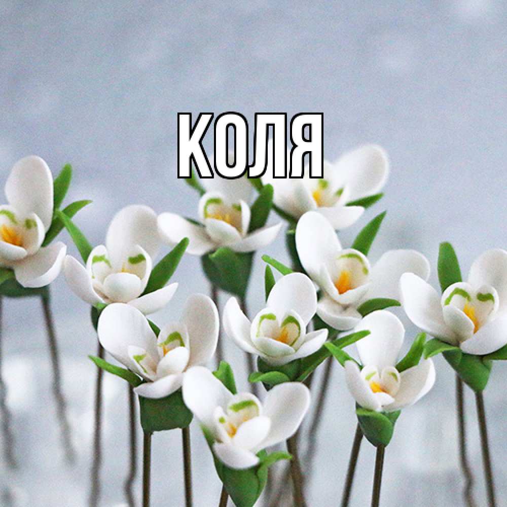 Открытка  с именем. коля, Главная  