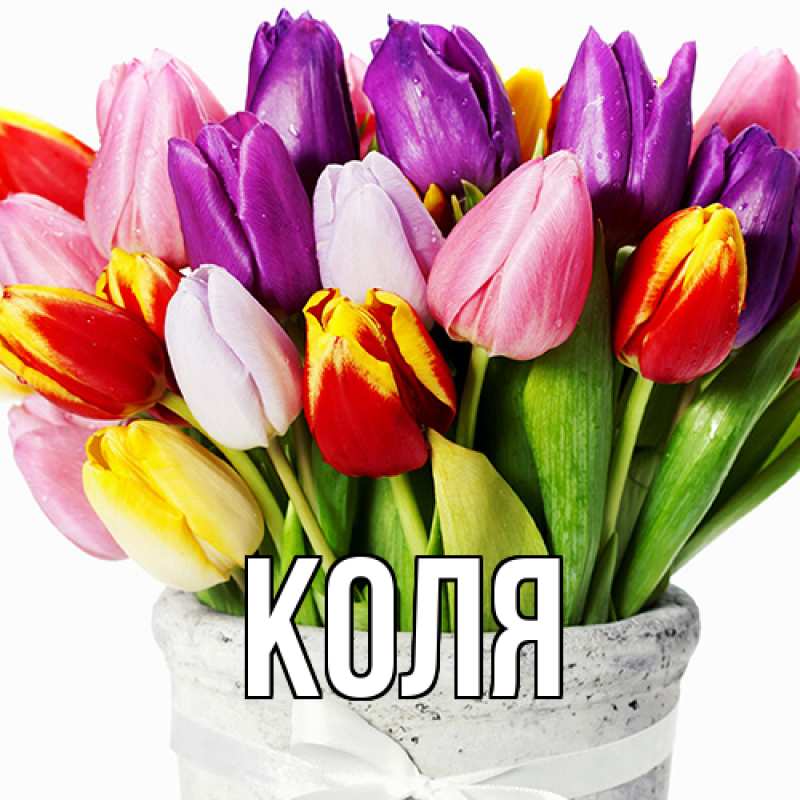 Картинка  с именем , коля