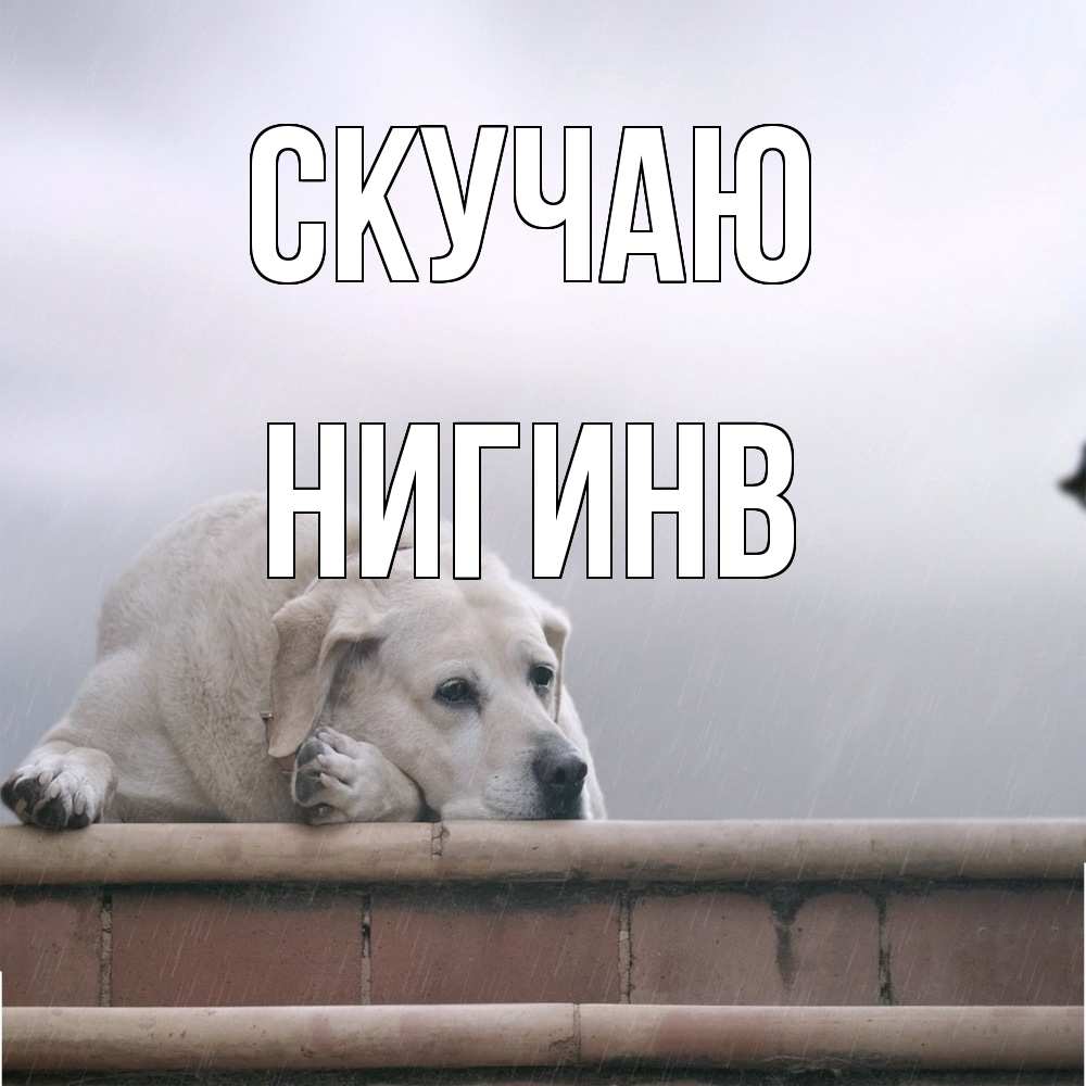 Открытка  с именем. Нигинв, Скучаю  