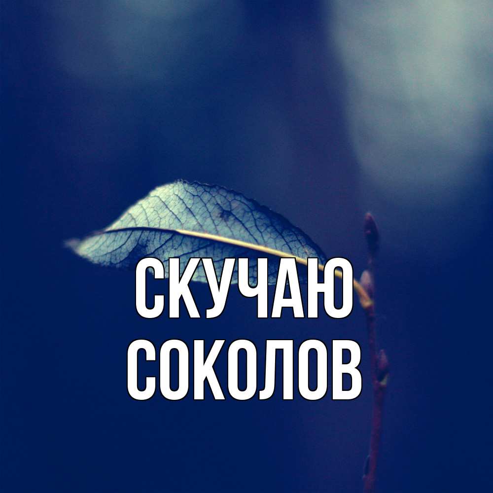 Открытка  с именем. Соколов, Скучаю  