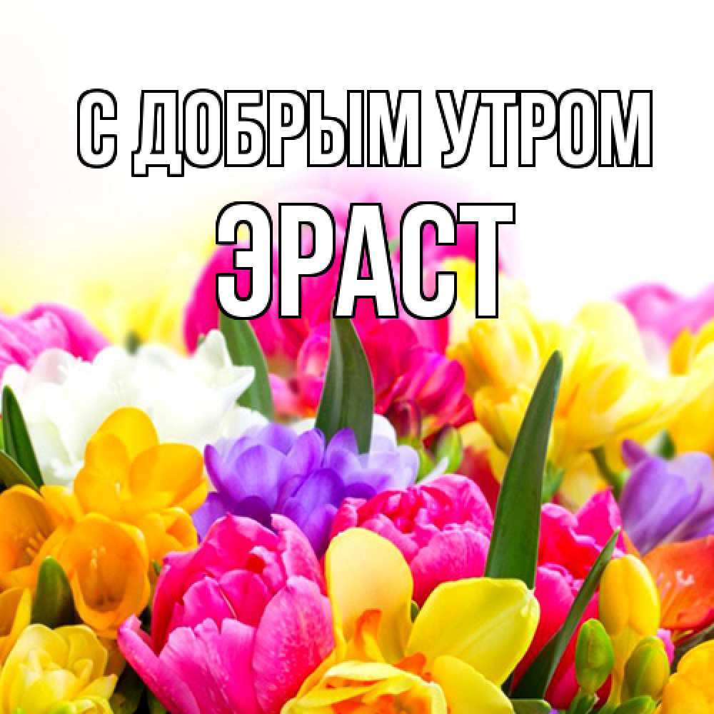 Открытка  с именем. Эраст, С добрым утром  