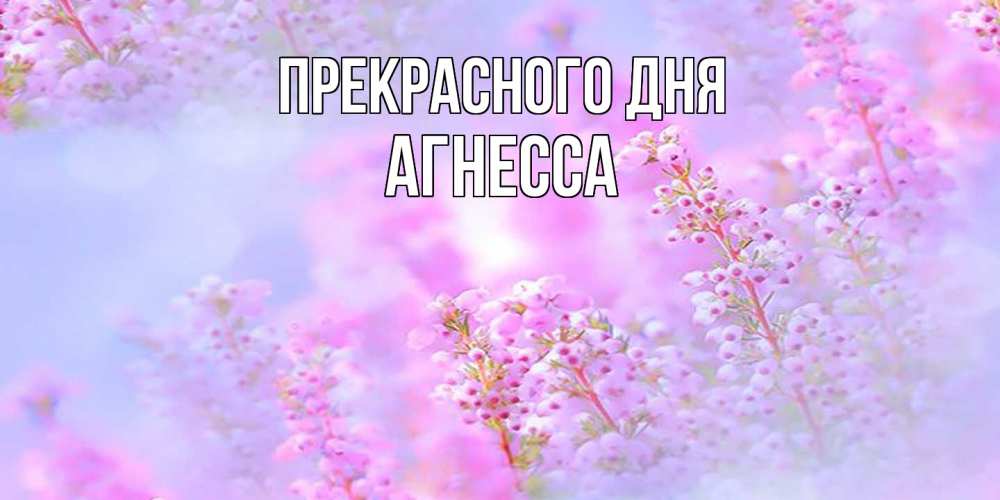 Открытка  с именем. Агнесса, Прекрасного дня  