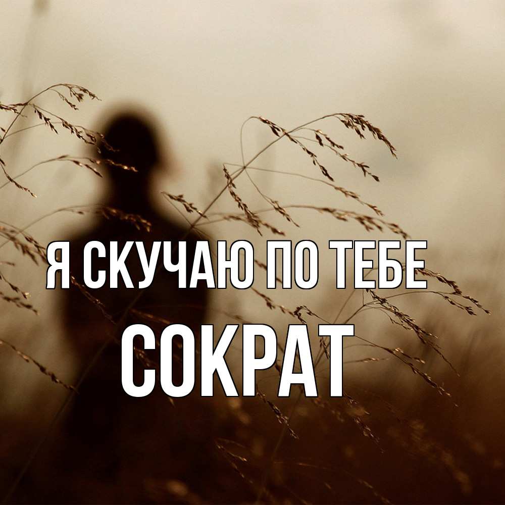 Открытка  с именем. Сократ, Я скучаю по тебе  
