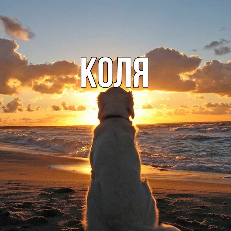 Картинка  с именем , коля