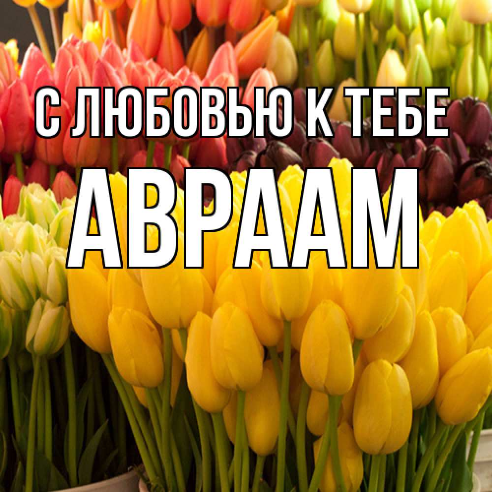 Открытка  с именем. Авраам, С любовью к тебе  