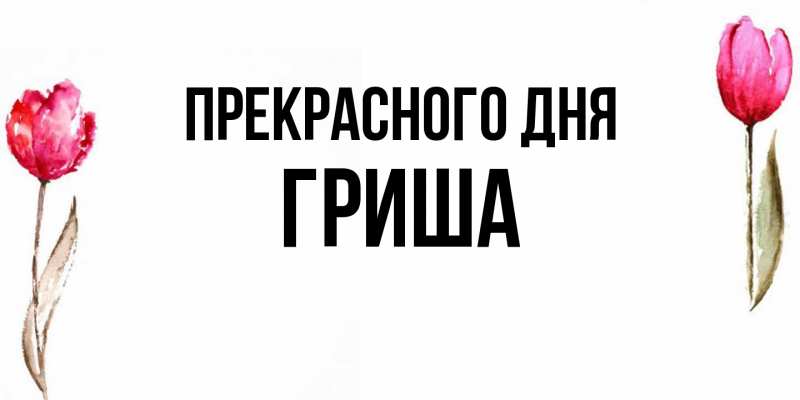 Картинка Прекрасного дня, Гриша