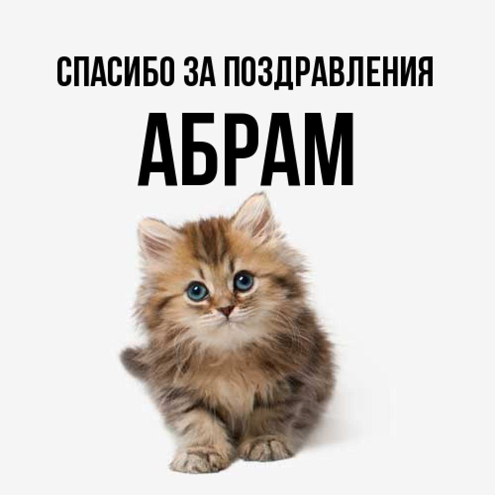 Открытка  с именем. Абрам, Спасибо за поздравления  