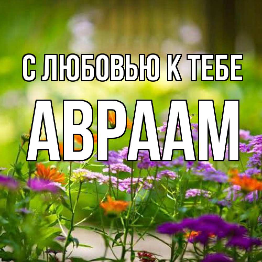 Открытка  с именем. Авраам, С любовью к тебе  