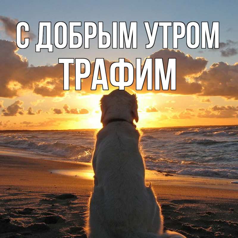 Открытка с именем, трафим, С добрым утром