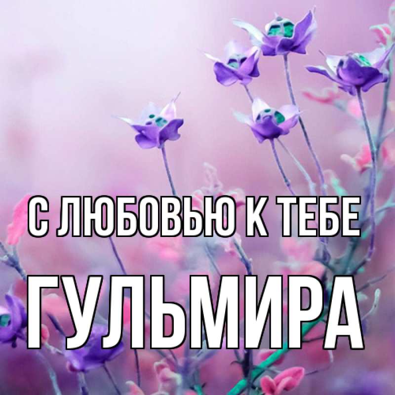 Картинка С любовью к тебе, Гульмира