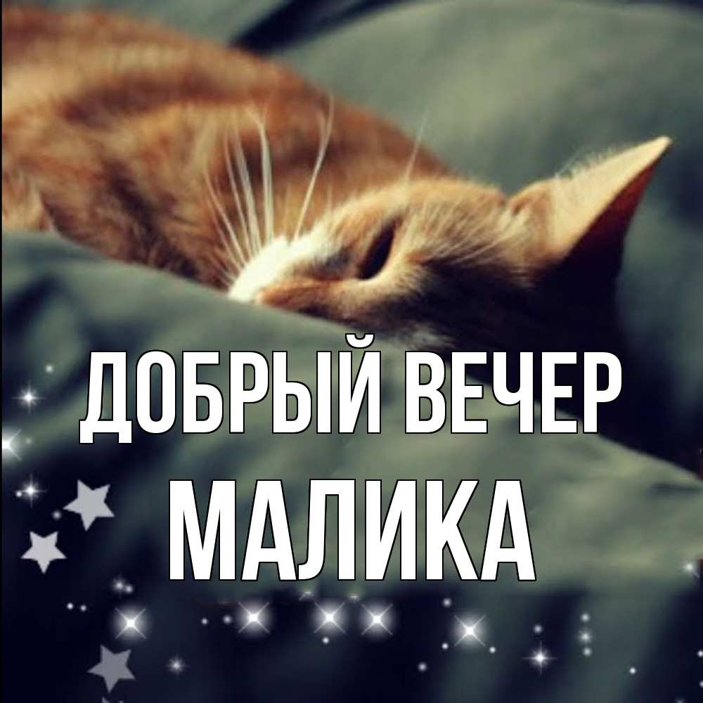 Открытка  с именем. Малика, Добрый вечер  