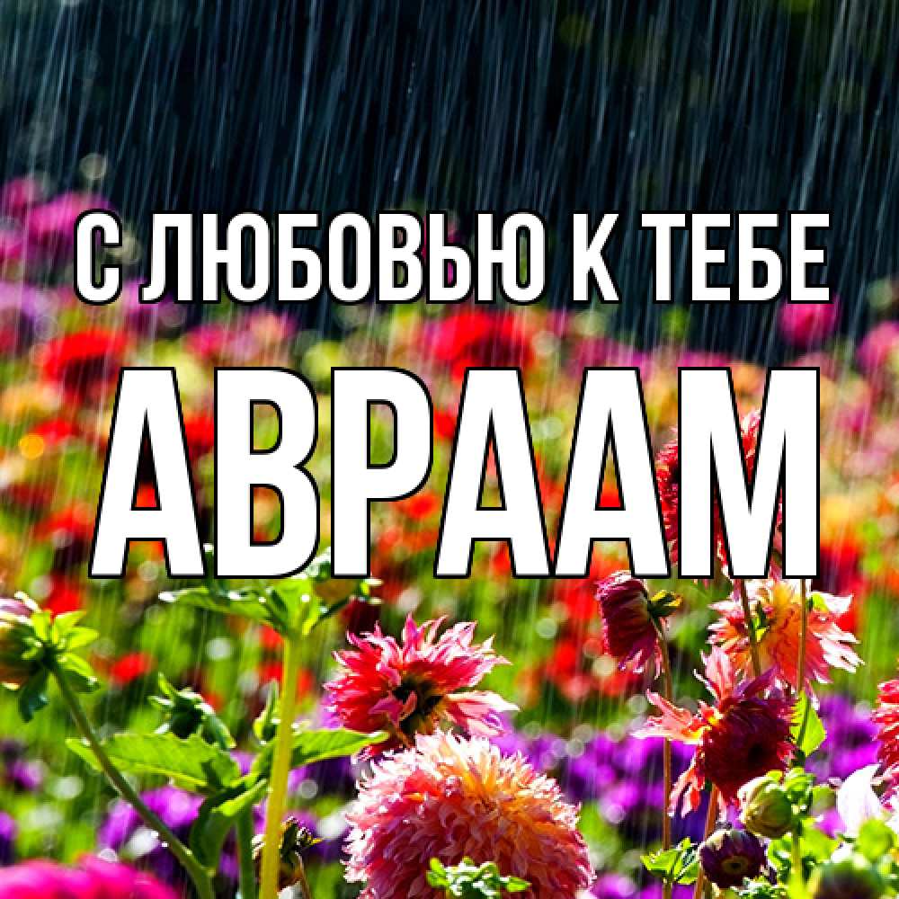 Открытка  с именем. Авраам, С любовью к тебе  