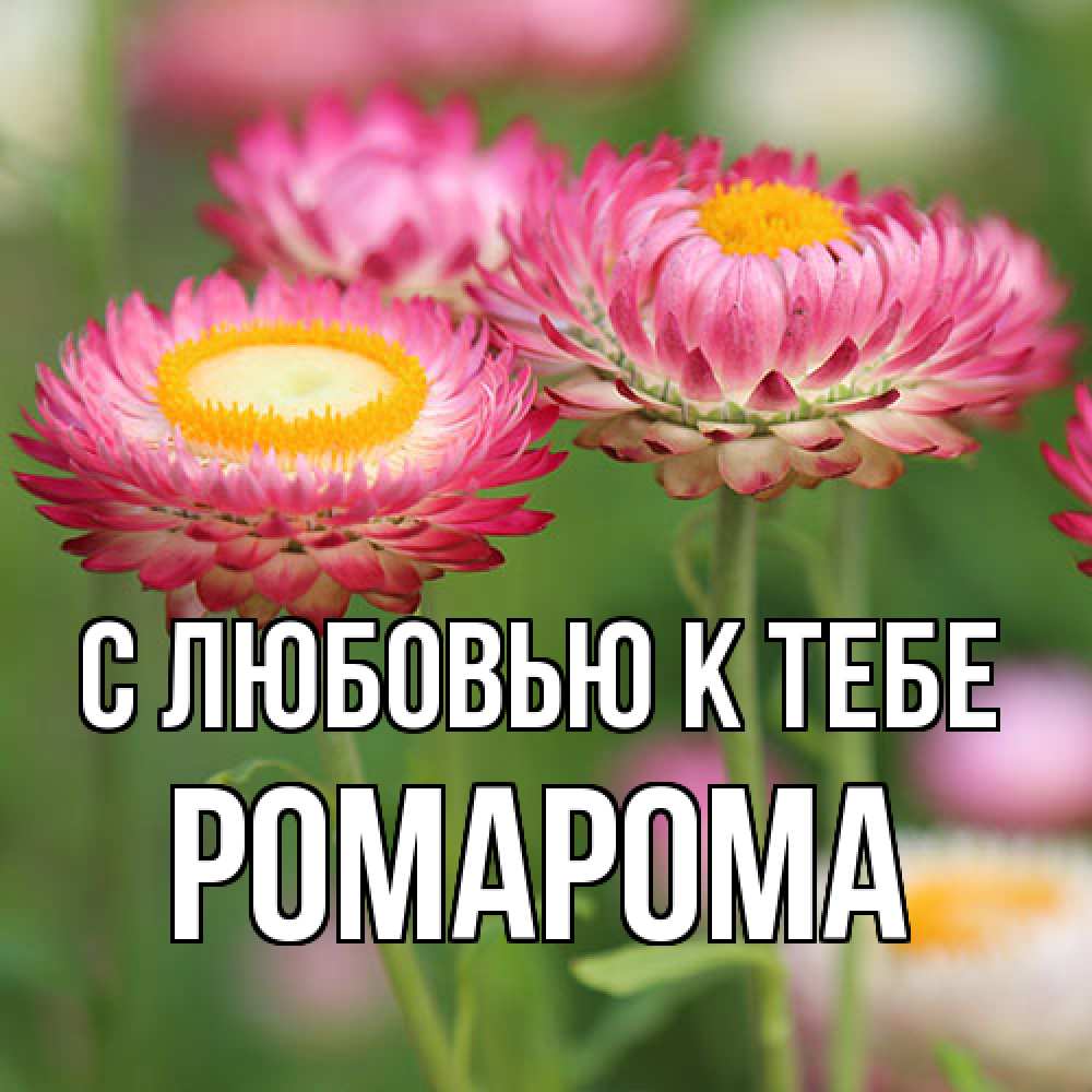 Открытка  с именем. РомаРома, С любовью к тебе  